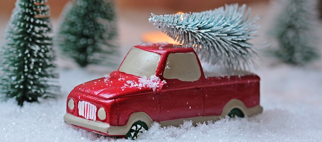 Christmas Tree Traditions - Public Domain Photo