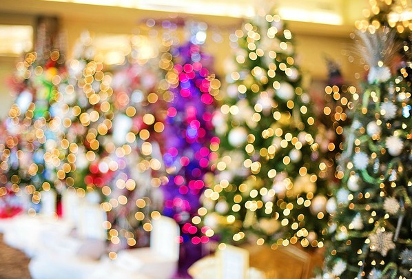 Christmas Tree Traditions - Public Domain Photo