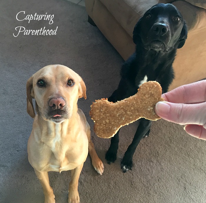 Peanut Butter & Banana Dog Treats © Capturing Parenthood