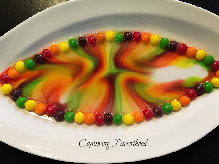 Colorful Skittles Experiments © Capturing Parenthood