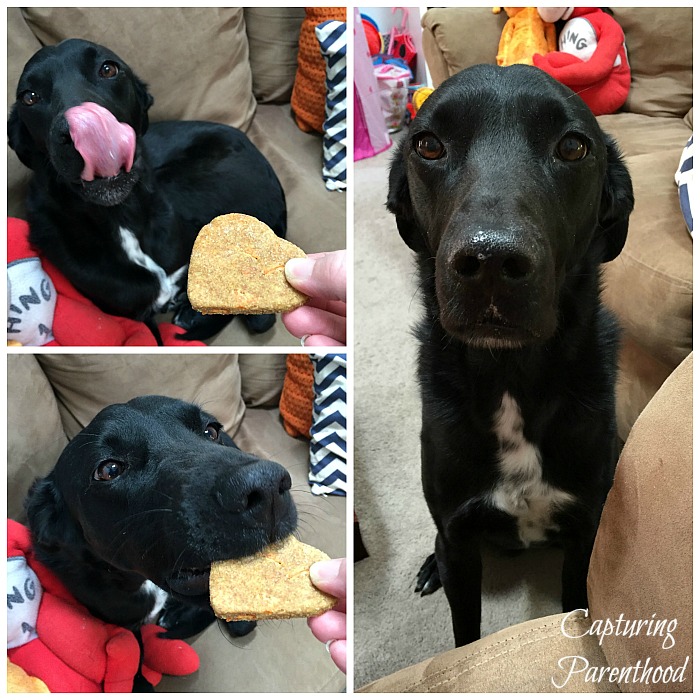 Carrot & Banana Dog Treats © Capturing Parenthood