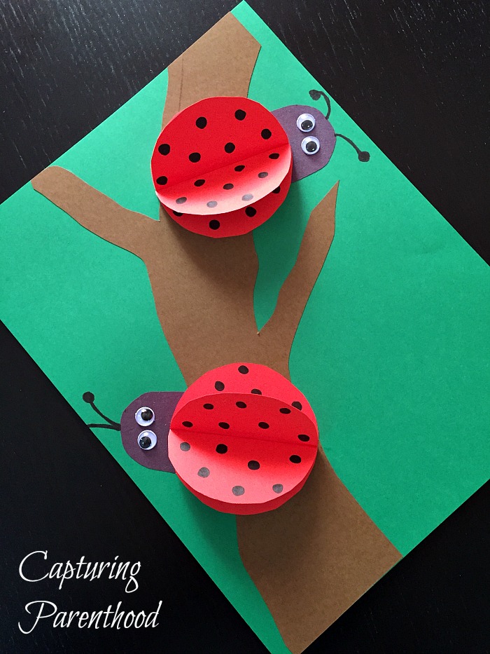 3D Ladybug Crafts - Three Ways