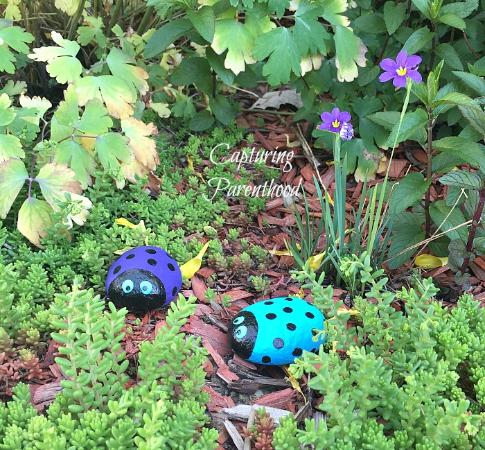 3D Ladybug Crafts - Three Ways