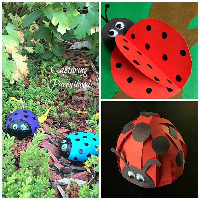 3D Ladybug Crafts - Three Ways