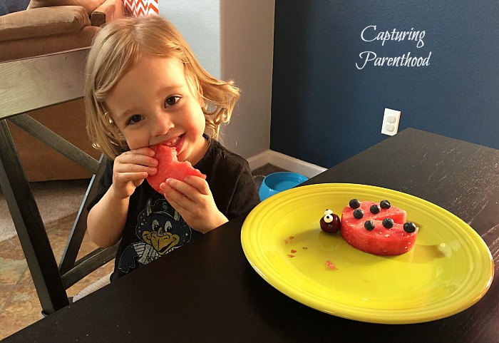 Watermelon Ladybugs © Capturing Parenthood