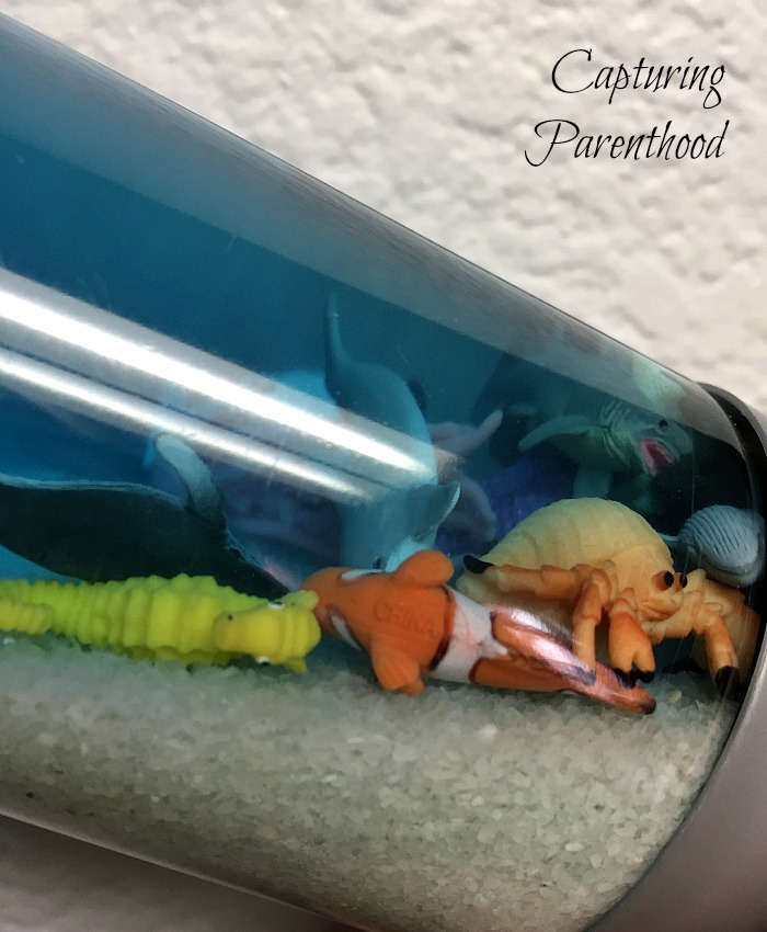 Ocean Creatures Sensory Bottle © Capturing Parenthood