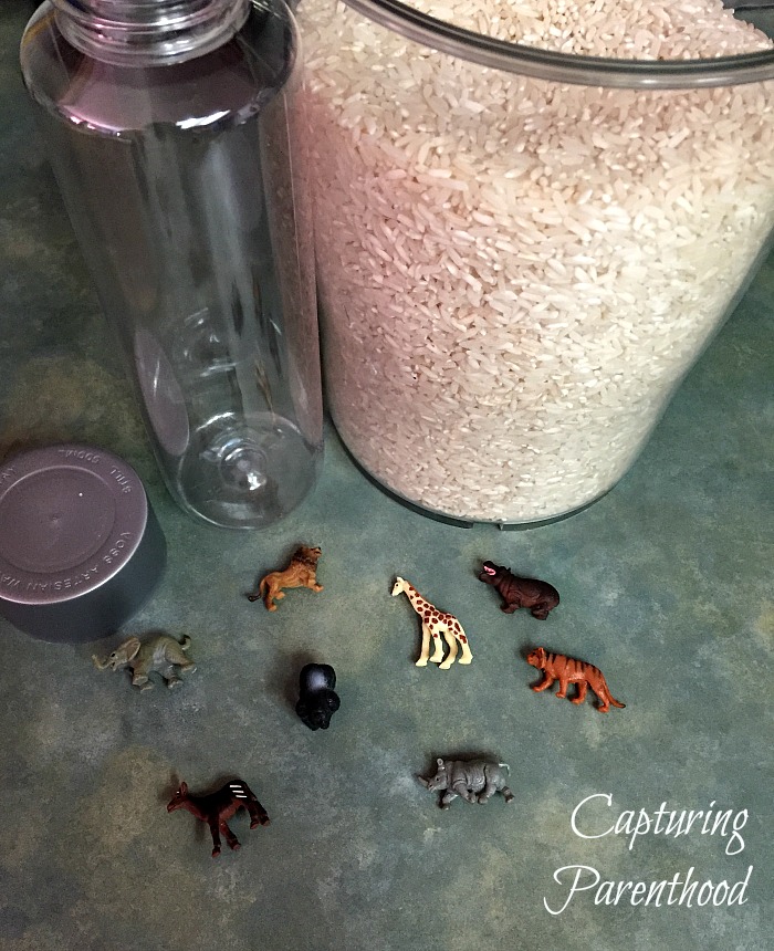 Rice Zoo Sensory Bottle © Capturing Parenthood