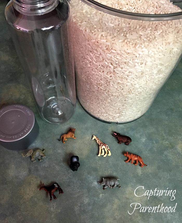 How to Make a Perfect Sensory Bottle - Preschool Inspirations