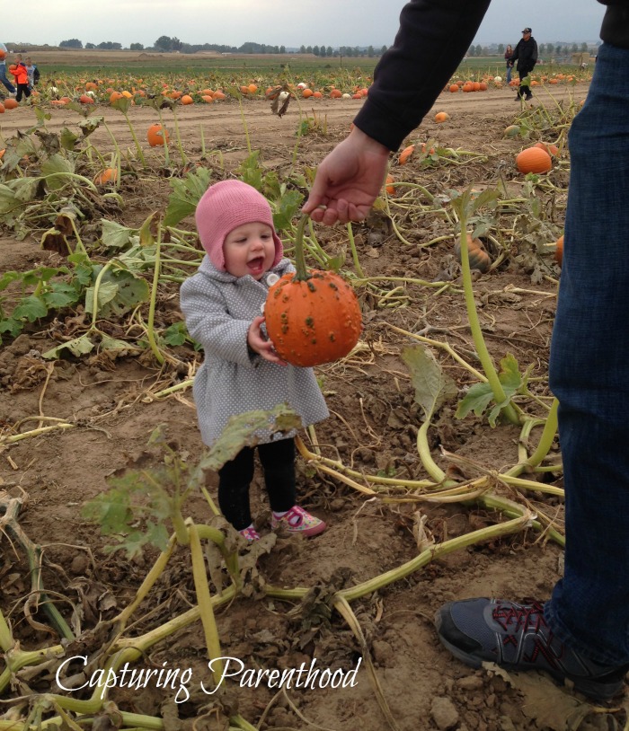 Our Annual Adventure to the Pumpkin Patch © Capturing Parenthood