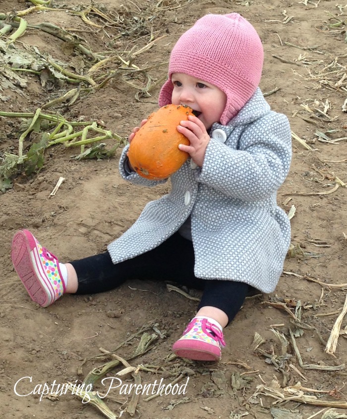 Our Annual Adventure to the Pumpkin Patch © Capturing Parenthood