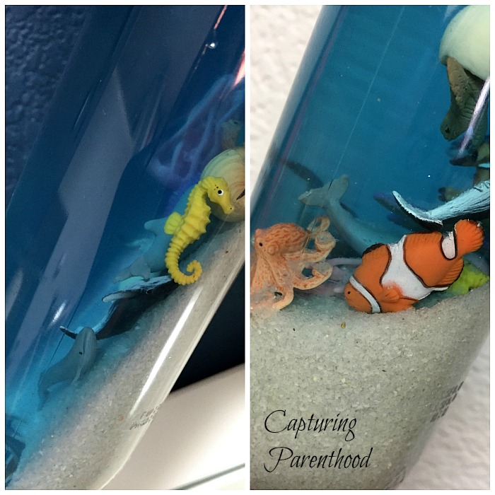 Ocean Creatures Sensory Bottle © Capturing Parenthood