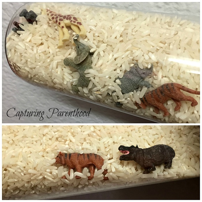 Rice Zoo Sensory Bottle © Capturing Parenthood