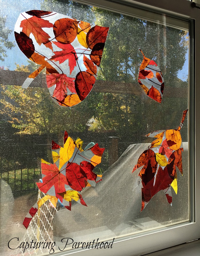 Fun Fall Leaf Projects © Capturing Parenthood