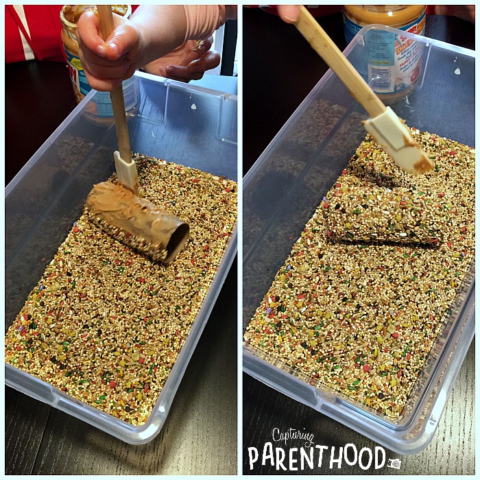 DIY Bird Feeder - Kids Craft © Capturing Parenthood