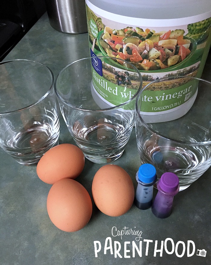 The Great Vinegar Eggsperiment © Capturing Parenthood