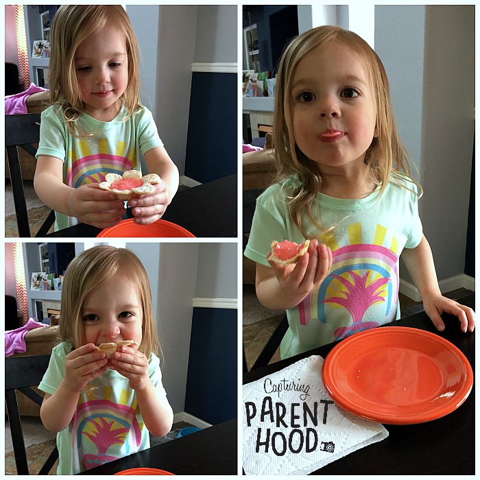 Flower Pudding Tarts © Capturing Parenthood