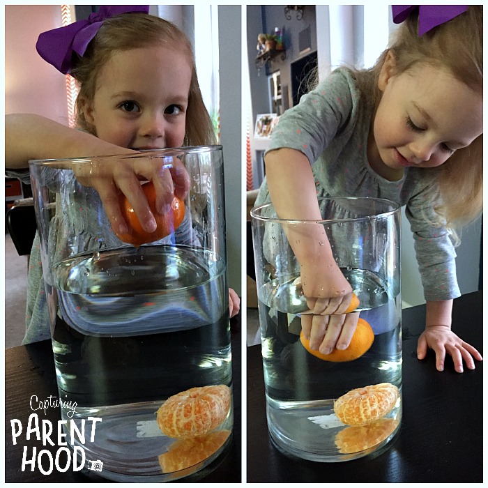Testing the Density of Oranges - A Simple Experiment for Kids © Capturing Parenthood