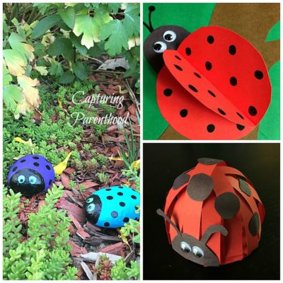 3D Ladybug Crafts – Three Ways