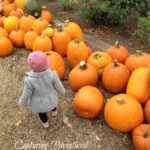 Our Annual Adventure to the Pumpkin Patch