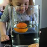 Testing the Density of Oranges – A Simple Experiment for Kids