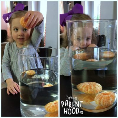 Testing the Density of Oranges - A Simple Experiment for Kids ...