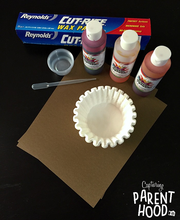 Fall Tree Crafts for Kids © Capturing Parenthood