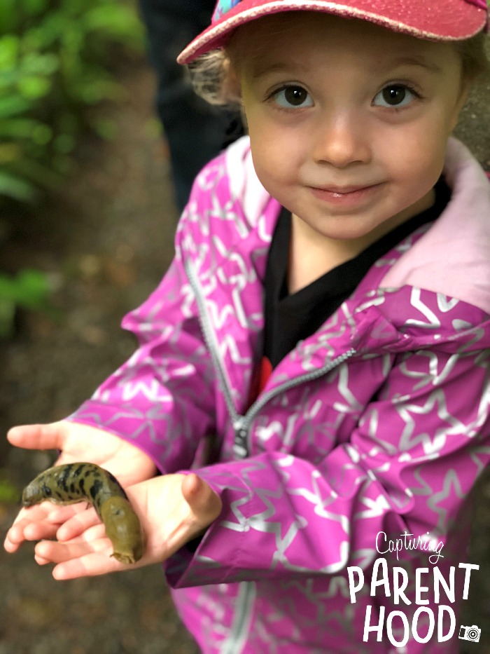 Our Olympic National Park Family Adventure © Capturing Parenthood