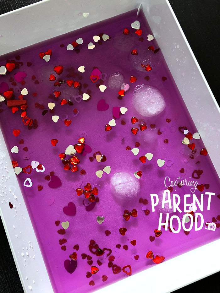 Wolfpack Sensory Bin Review & Wrap-Up © Capturing Parenthood