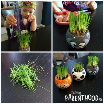 Learning to Garden with Animal Grass Grow Kits