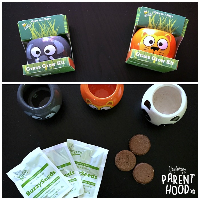 Learning to Garden With Animal Grass Grow Kits © Capturing Parenthood